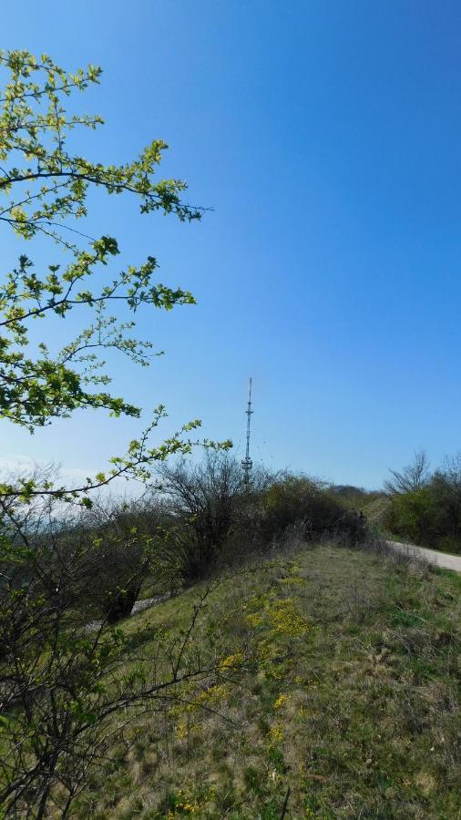Gasthof Gruener Baum Langfurth  Bagian luar foto
